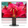 Nec MultiSync EA245WMi czarny - 366155 - zdjęcie 4